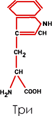7. Зато целых три аминокислоты содержат в боковых радикалах атомы серы – это