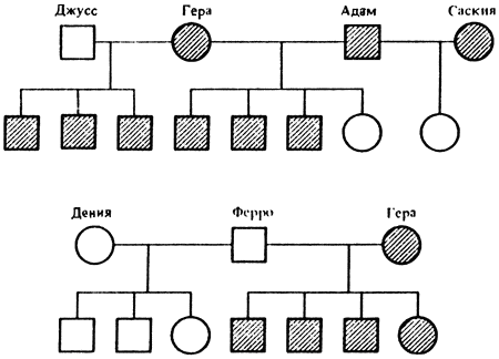 Рис. 2. Родословные № 31 (наверху) и № 32 (внизу)Итак, в приведенном ниже генетическом